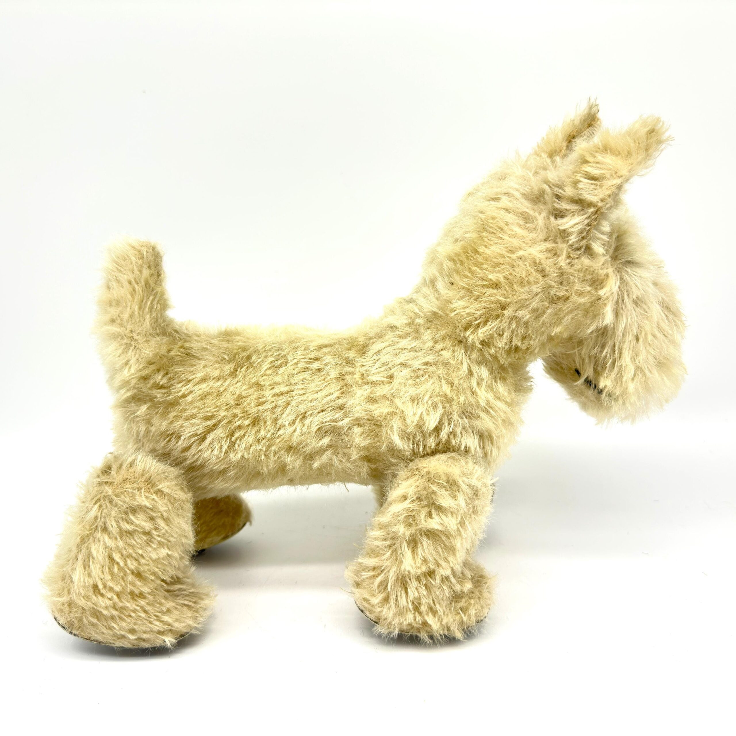 Cream-colored vintage mohair dog on wheels viewed from opposite side, showing left profile with glass eye detail