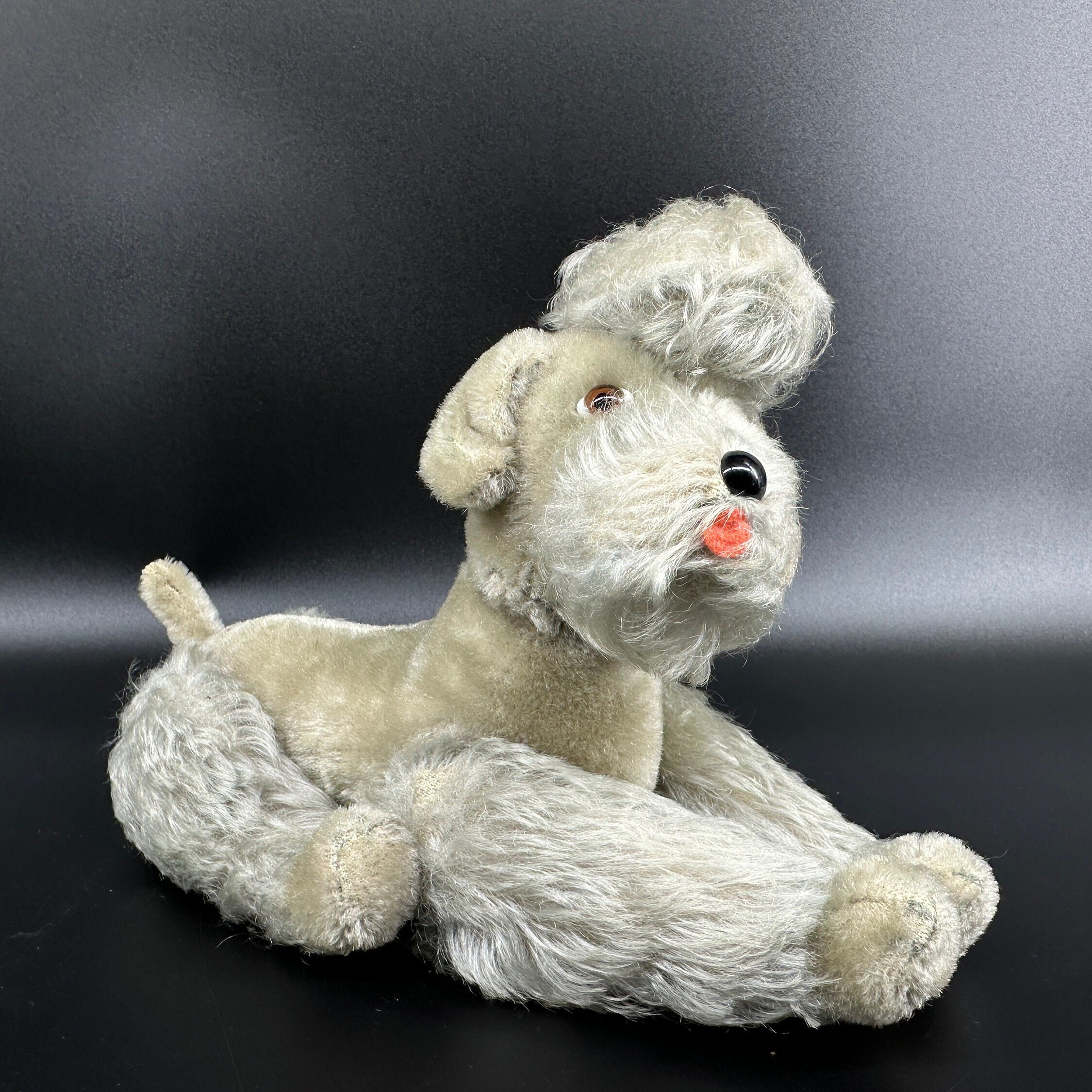 Steiff poodle front-facing reclining view with visible facial features and fluffy body texture