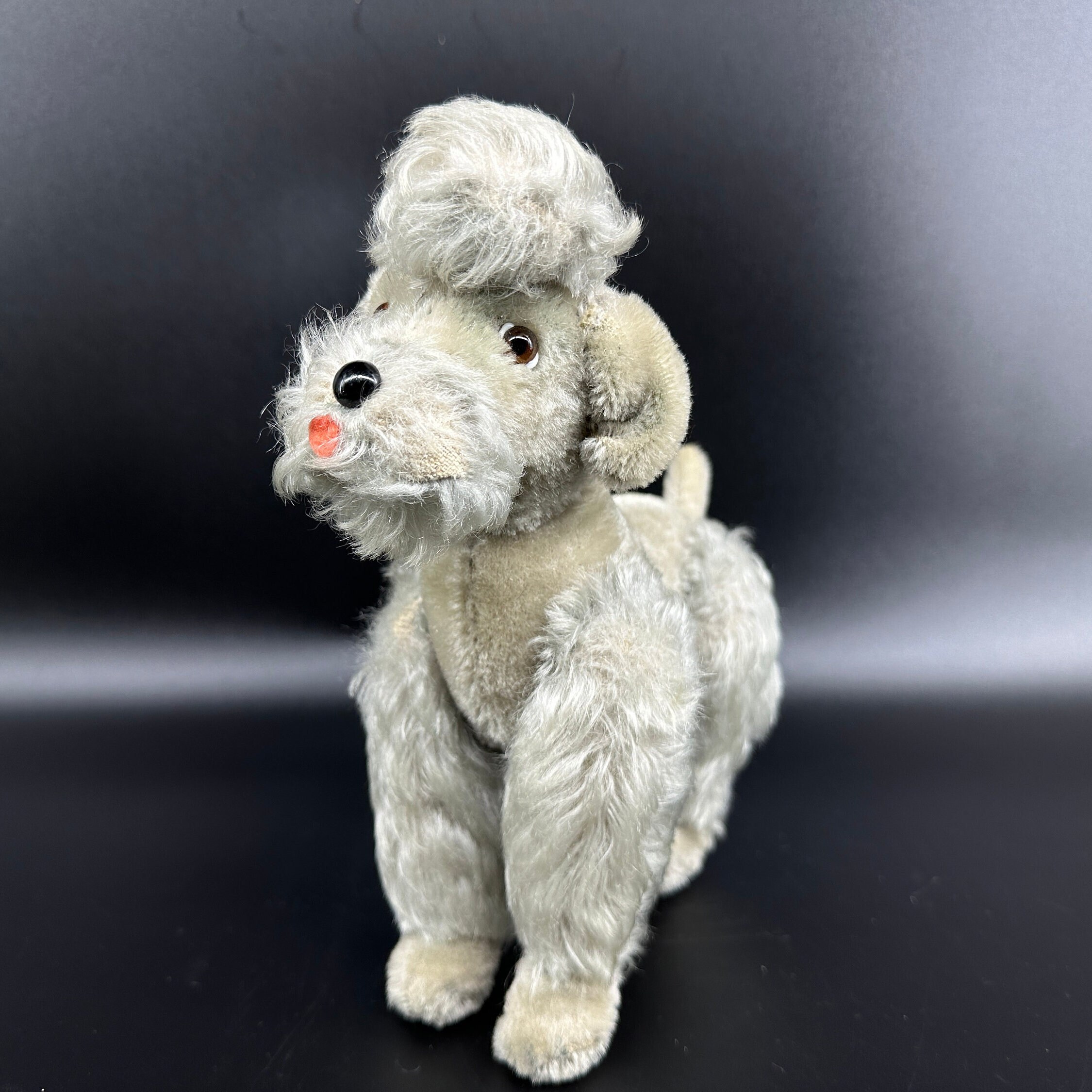 Steiff poodle front-facing upright position with visible embroidered face and fluffy topknot detail
