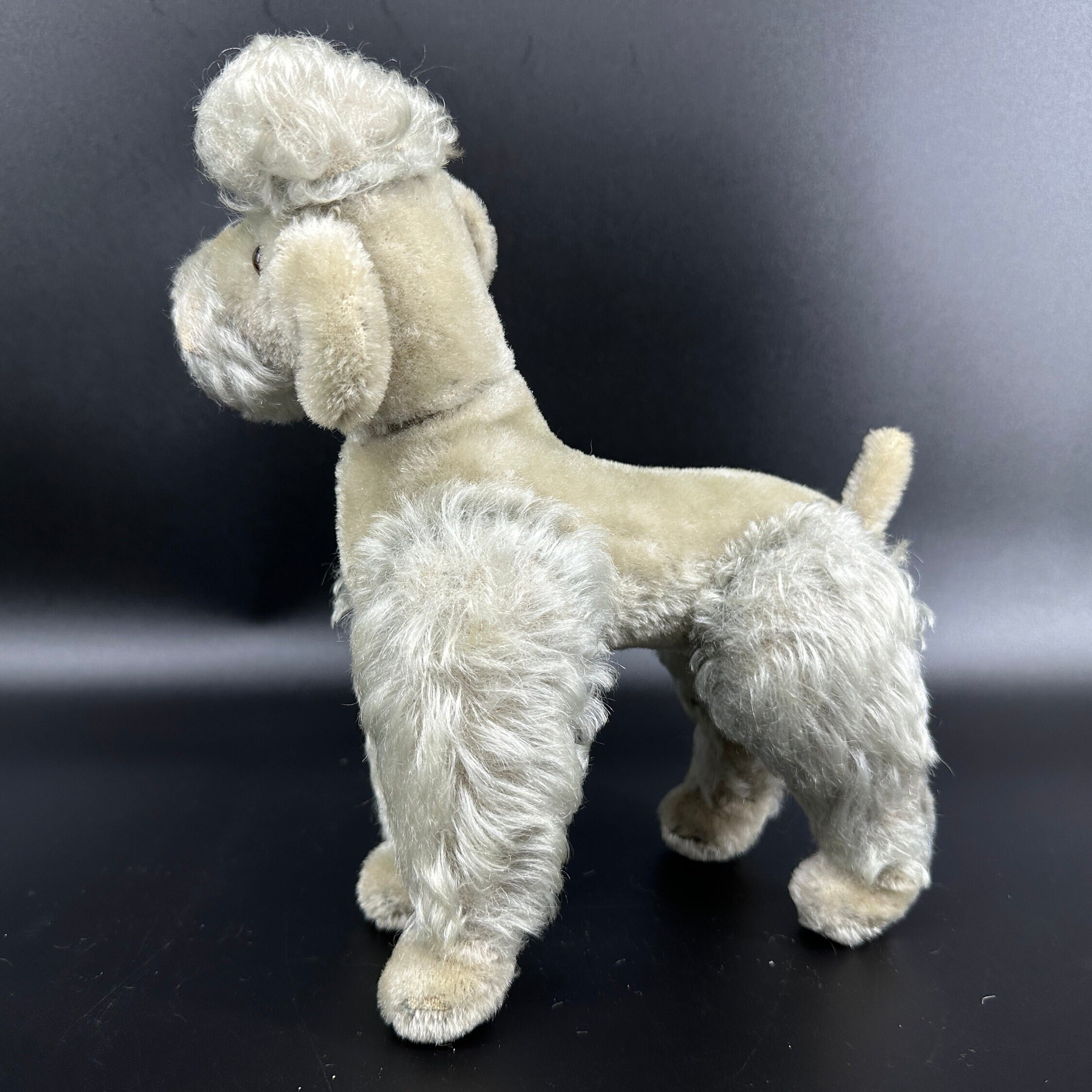 Steiff poodle rear three-quarter view revealing plump hindquarters and detailed tail positioning