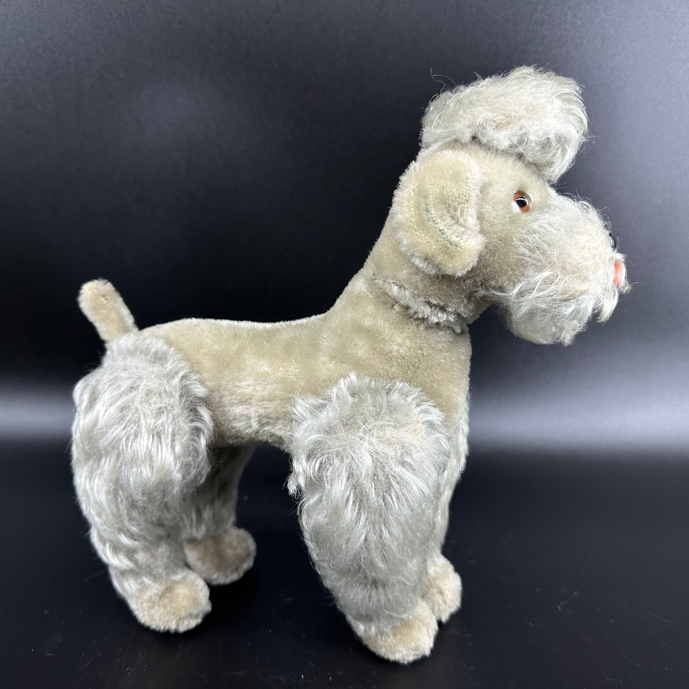 Steiff poodle standing three-quarter angle displaying characteristic poodle trim and full body silhouette