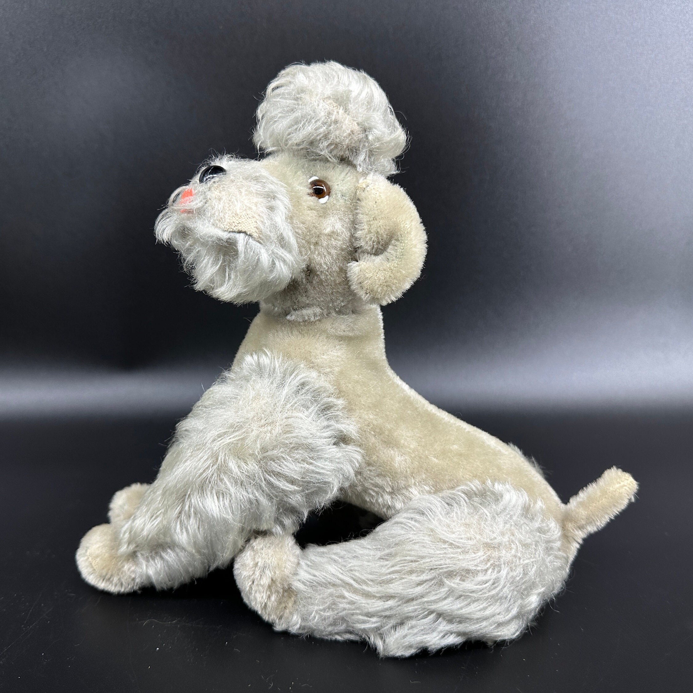 Steiff poodle three-quarter back view displaying hindquarters, tail, and back leg positioning details