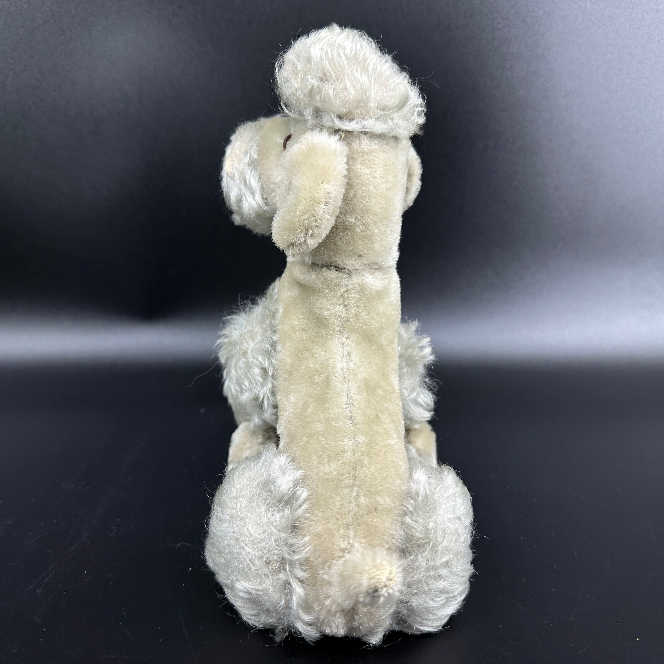 Steiff poodle upright back position displaying full body height, topknot prominence, and standing posture