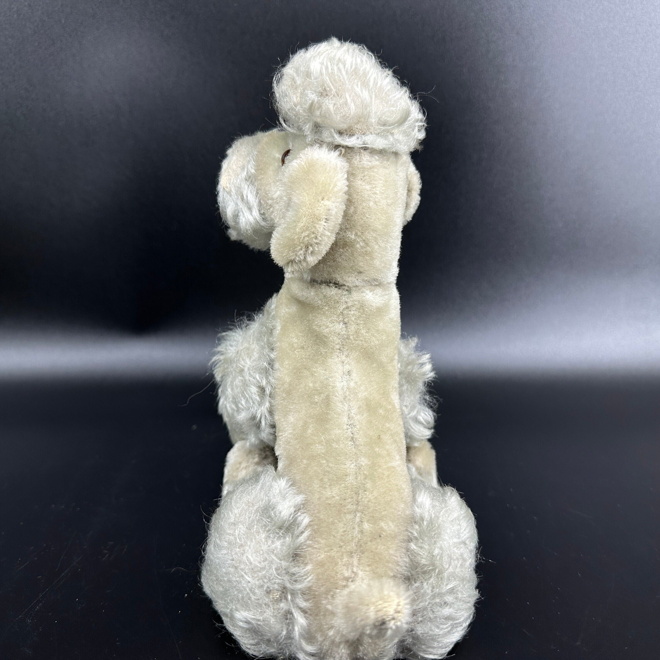 Steiff poodle vertical back view showing topknot height, spine seam, and complete rear silhouette