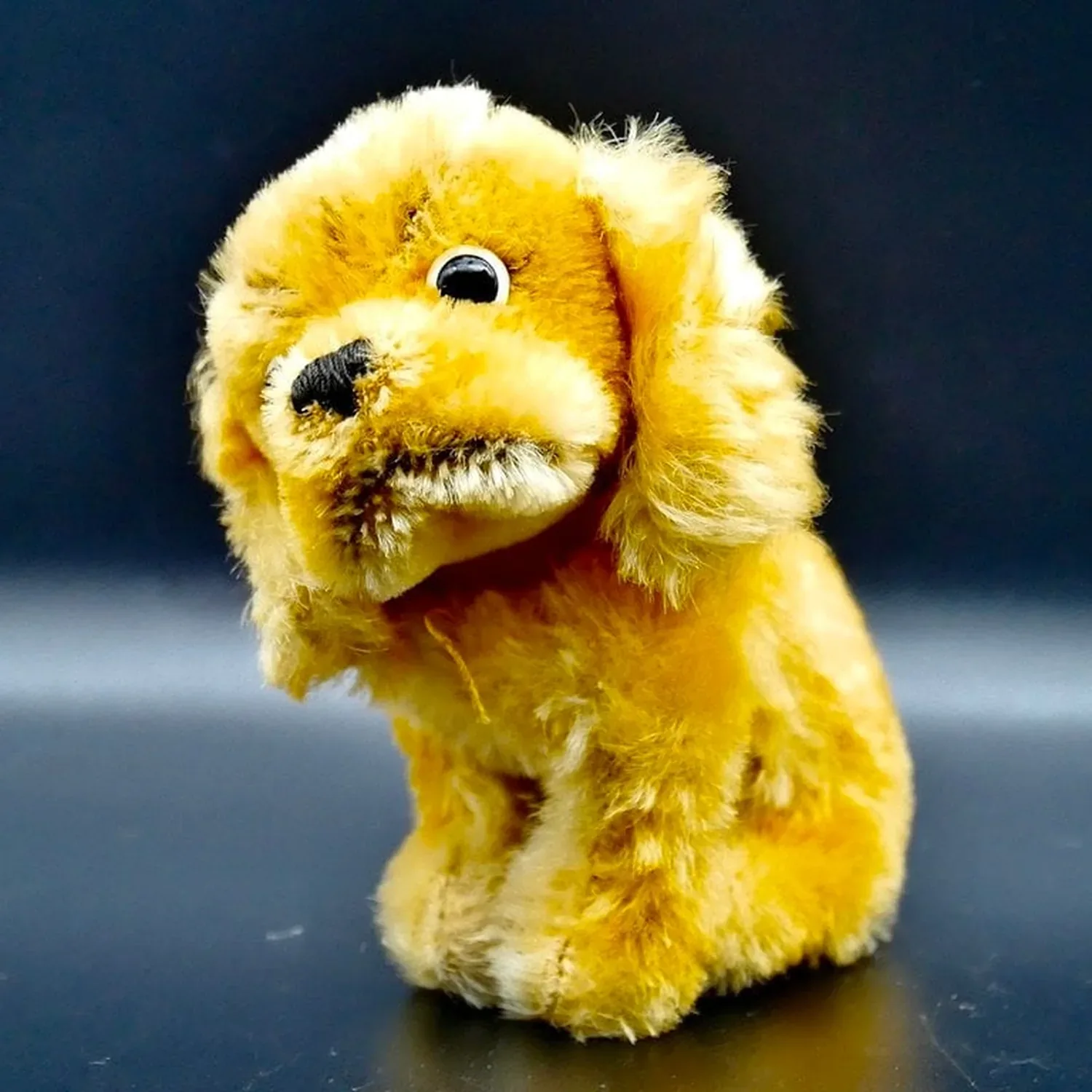 Vintage 1960s Steiff Susi Cocker Spaniel golden mohair plush toy with friendly expression and swivel head, front facing view