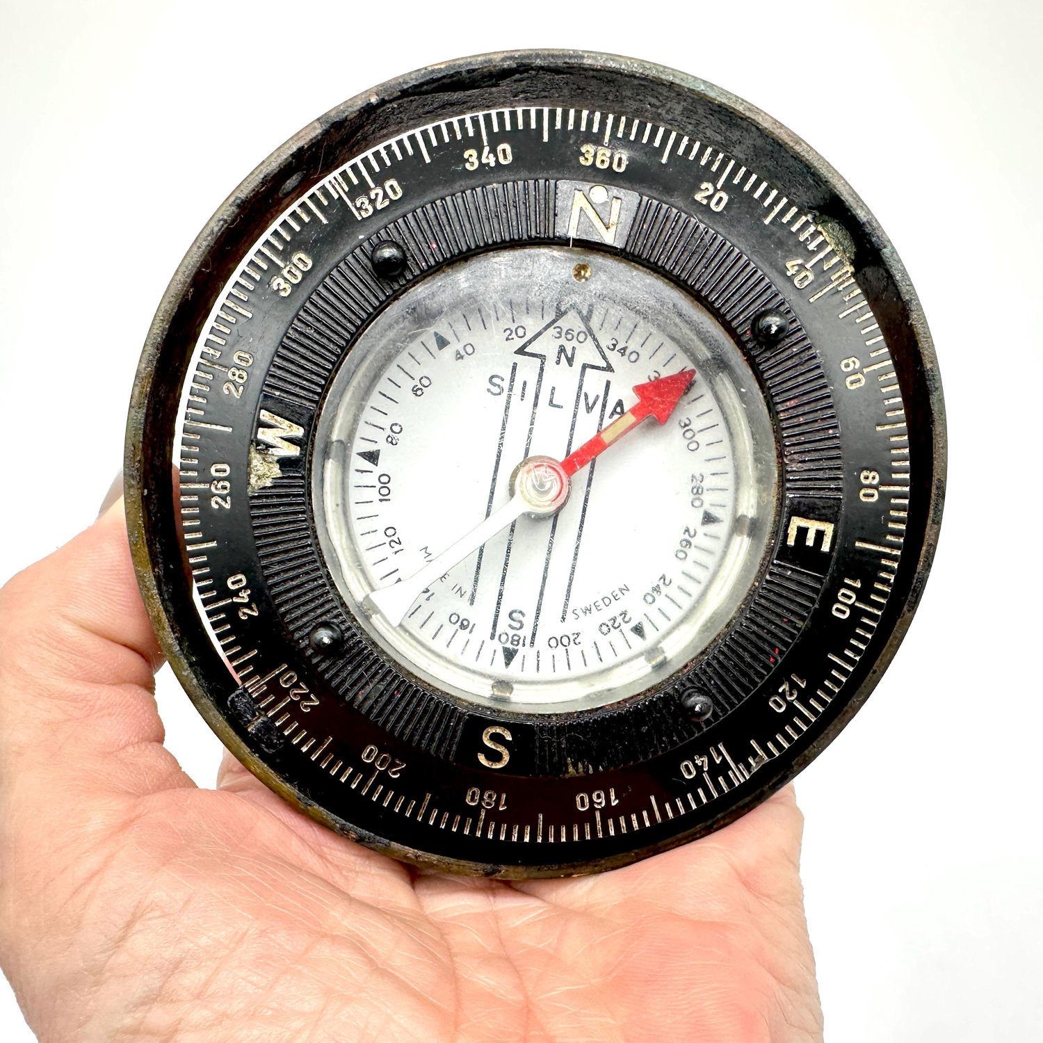 1774950261440-6.jpg