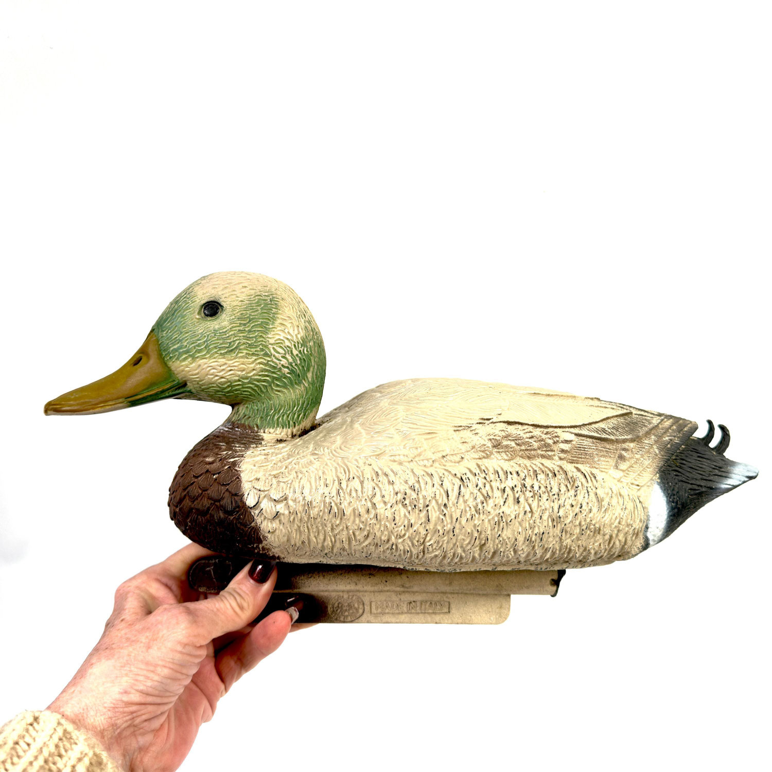 1774953106319-8.jpg