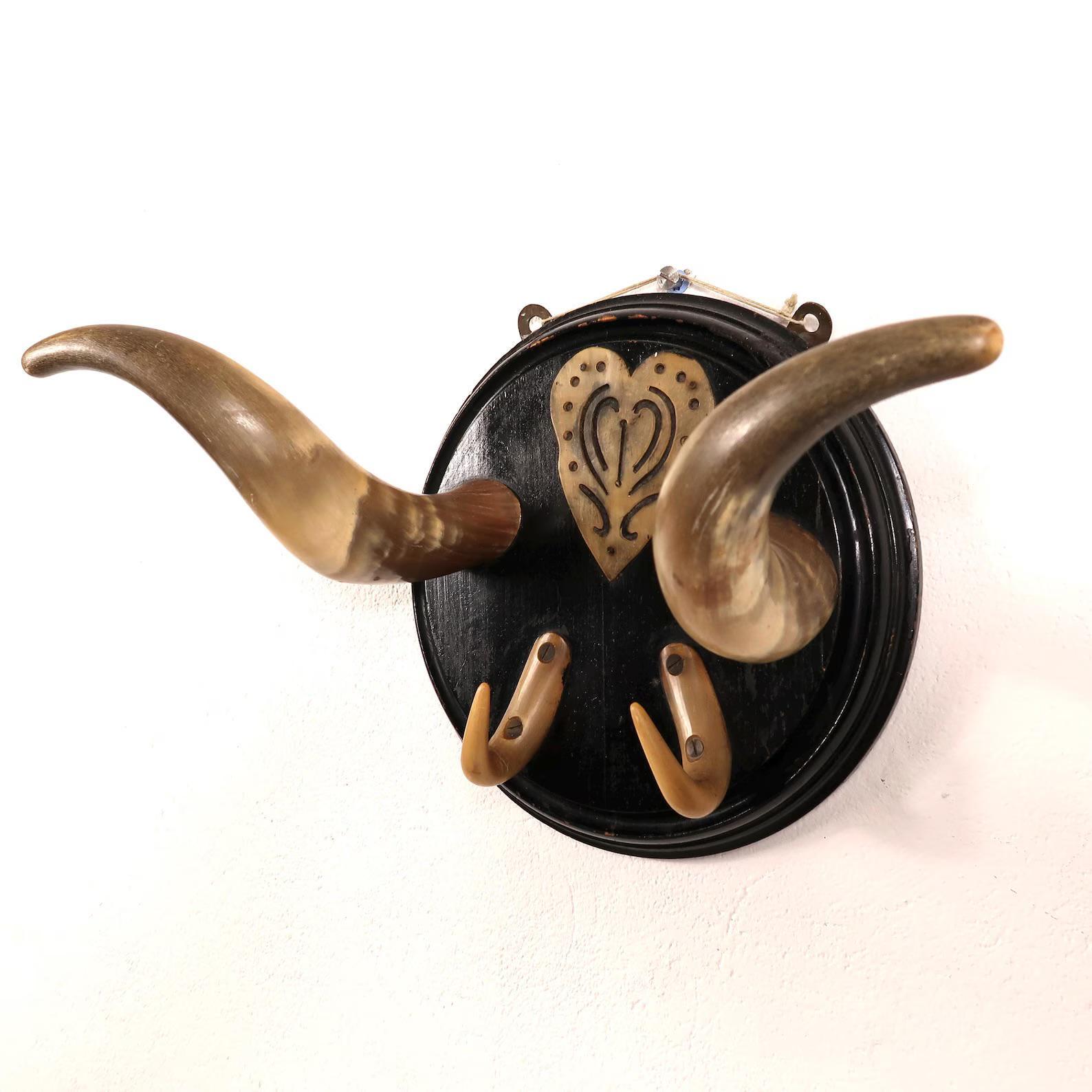 Antique bull horn coat rack with carved bone heart detail on black wooden plaque, double-hook design