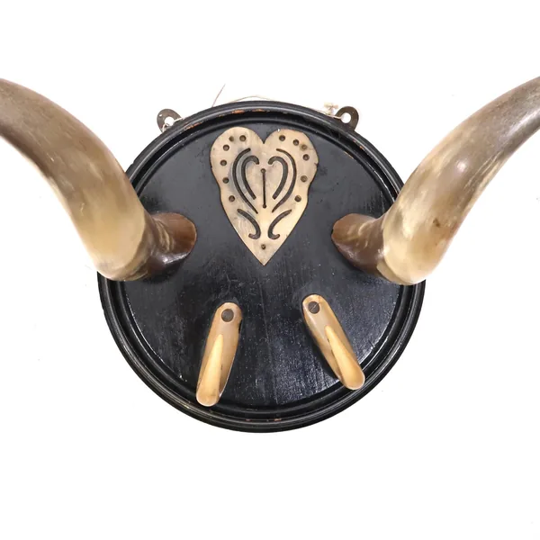 Angled view of vintage Nordic coat rack emphasizing the graceful curve and thickness of natural bull horns from left side per