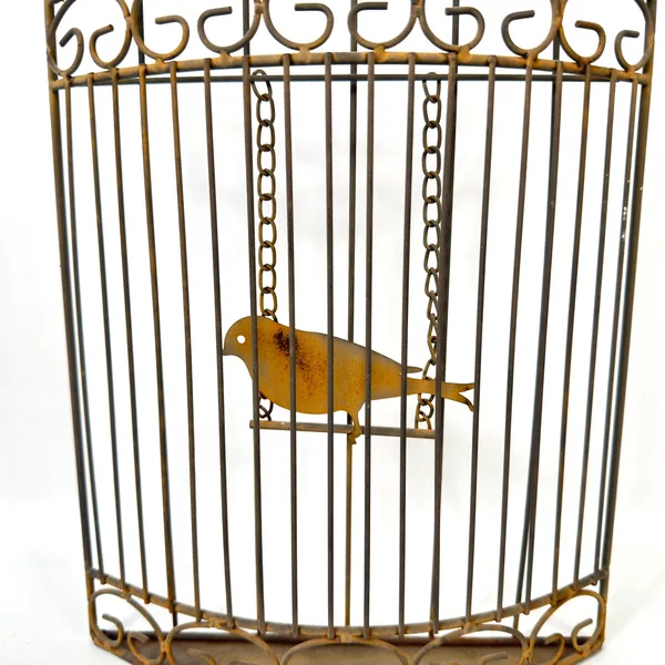 Birdcage seen from offset angle showing three-dimensional form, metal depth, and suspended bird positioning