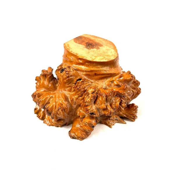 Close-up overhead angle of single burl wood bookend showing deep honey color, textured carved surface, and polished flat top