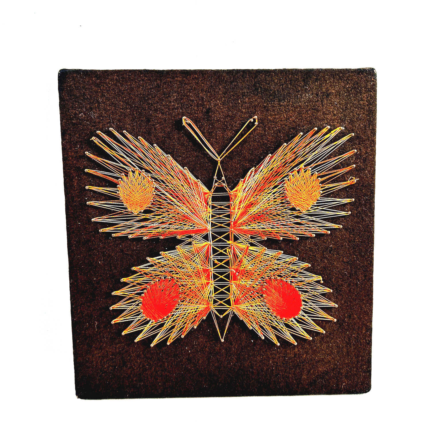 Full butterfly string art in square frame showing complete geometric composition and color balance