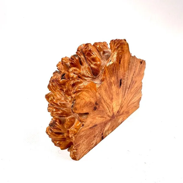 Low angle view of single burl wood bookend showing carved underside detail, organic base structure, and rich wood tone variat