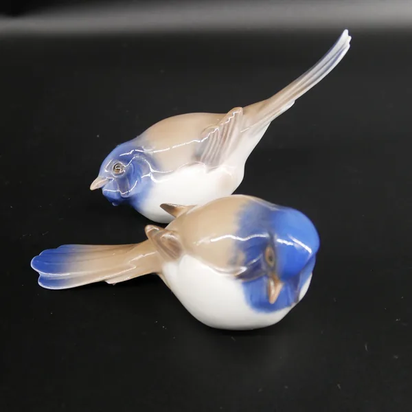Mirrored birds positioned to show matching blue tit characteristics, symmetrical design, and paired presentation