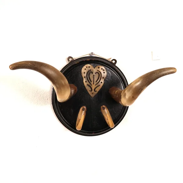 Overhead view of antique horn wall hanger showing symmetrical bull horns, bone heart emblem, and lower hook configuration on
