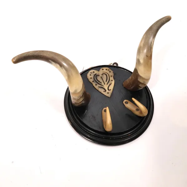 Right-side view of antique Scandinavian horn wall hanger revealing natural horn patina, wood mounting, and secondary bone hoo