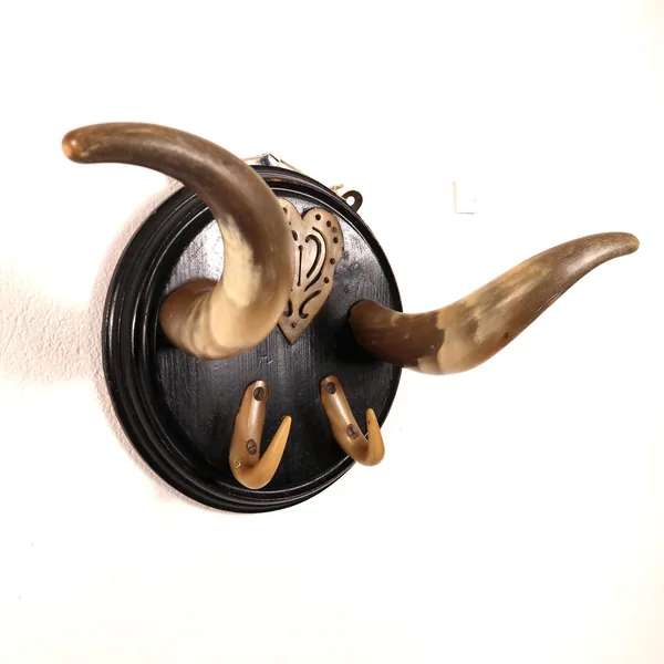 Side profile of vintage Scandinavian horn rack revealing the depth and curve of natural bull horns against round black wood p