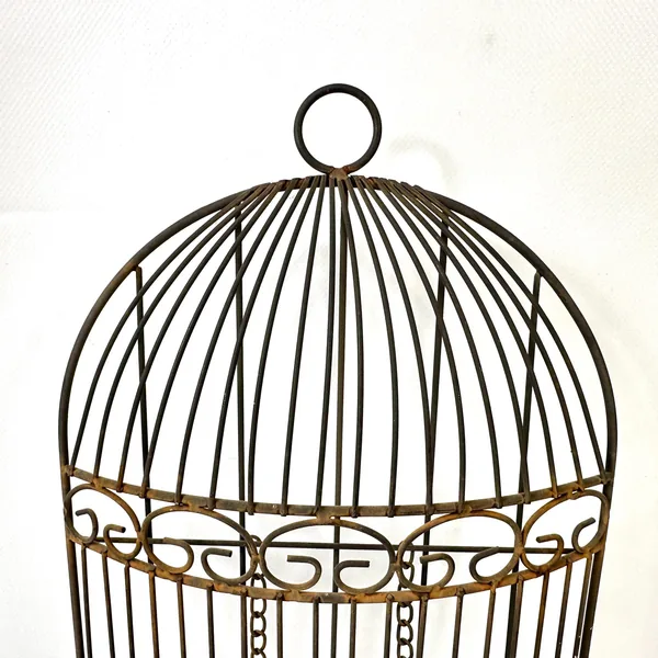 Top view of birdcage dome showing radiant wire pattern, hanging loop, and ornamental band from above