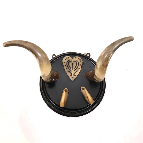 Wide-angle view of antique Scandinavian bull horn rack displaying full horizontal spread of curved horns and lower bone hooks