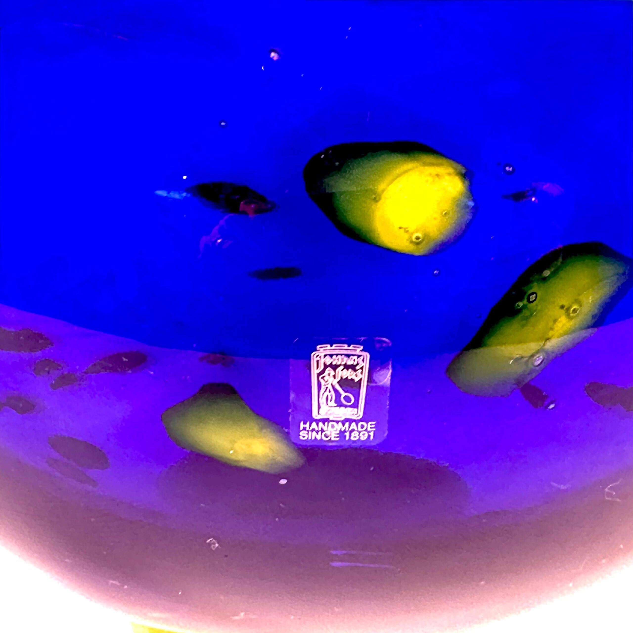 Bottom view showing amber-yellow foot and underside color palette with blue to pink gradient transitions